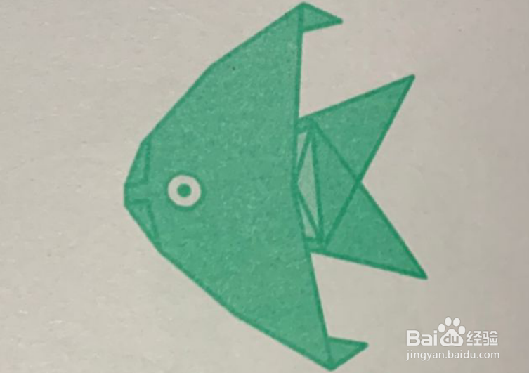 幼儿园折纸--热带鱼