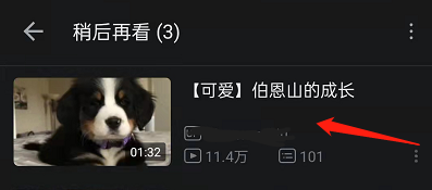 哔哩哔哩稍后再看在哪