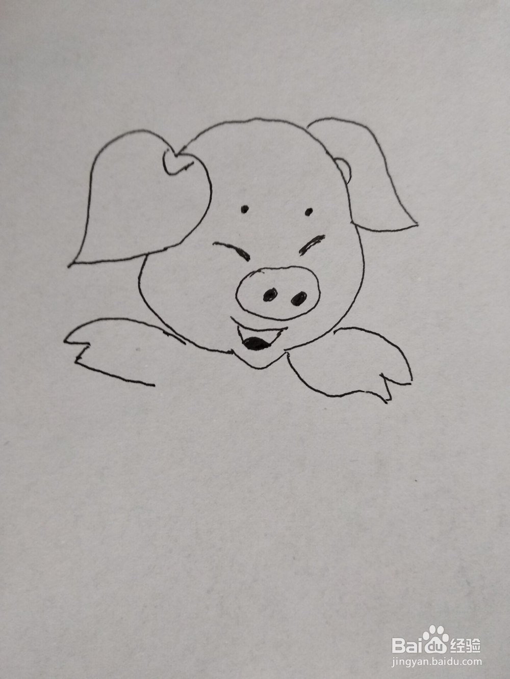 猪年开心小猪简笔画方法