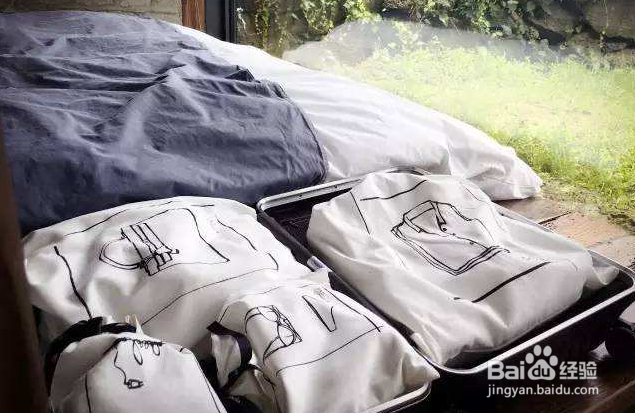 吉内得总基地研学之旅研学攻略