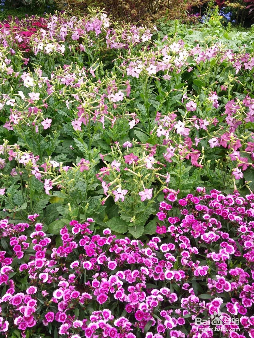 如何将手机微信中照片等直接存入U盘？