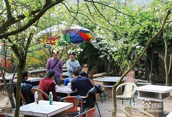 让“种太阳”成为现实!