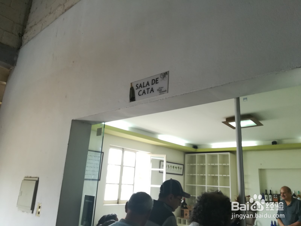 玻利维亚塔里哈市旅游攻略:红酒文化之旅