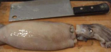 盛夏肥美时节——芫爆鱿鱼卷