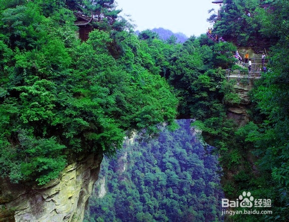张家界旅游怎么选择旅行社