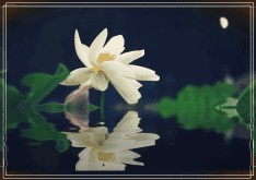 教你怎么不去计较得失