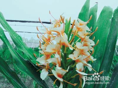 用吃的方式解决小儿夜晚盗汗