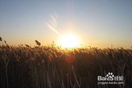 总是陷入过去回忆出不来,应该如何调整