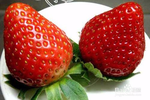 如何挑选，选购草莓？
