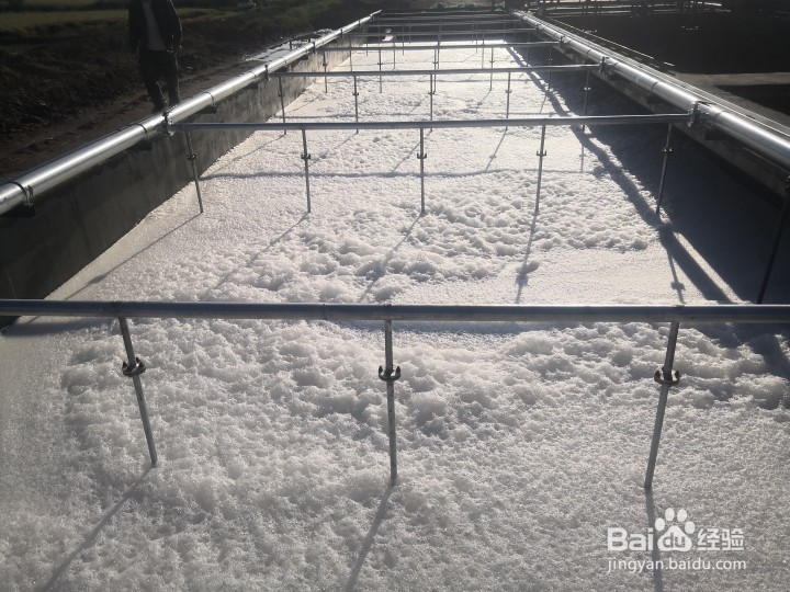 污水处理厂氨氮超标技术诊断及达标修复方案