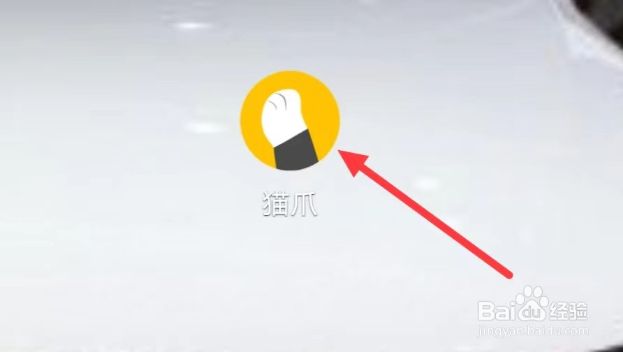 猫爪怎样查看小纸条