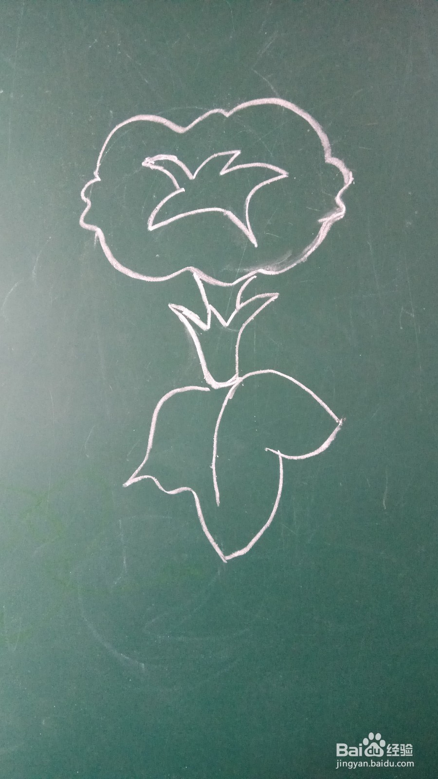 儿童简笔画牵牛花的画法