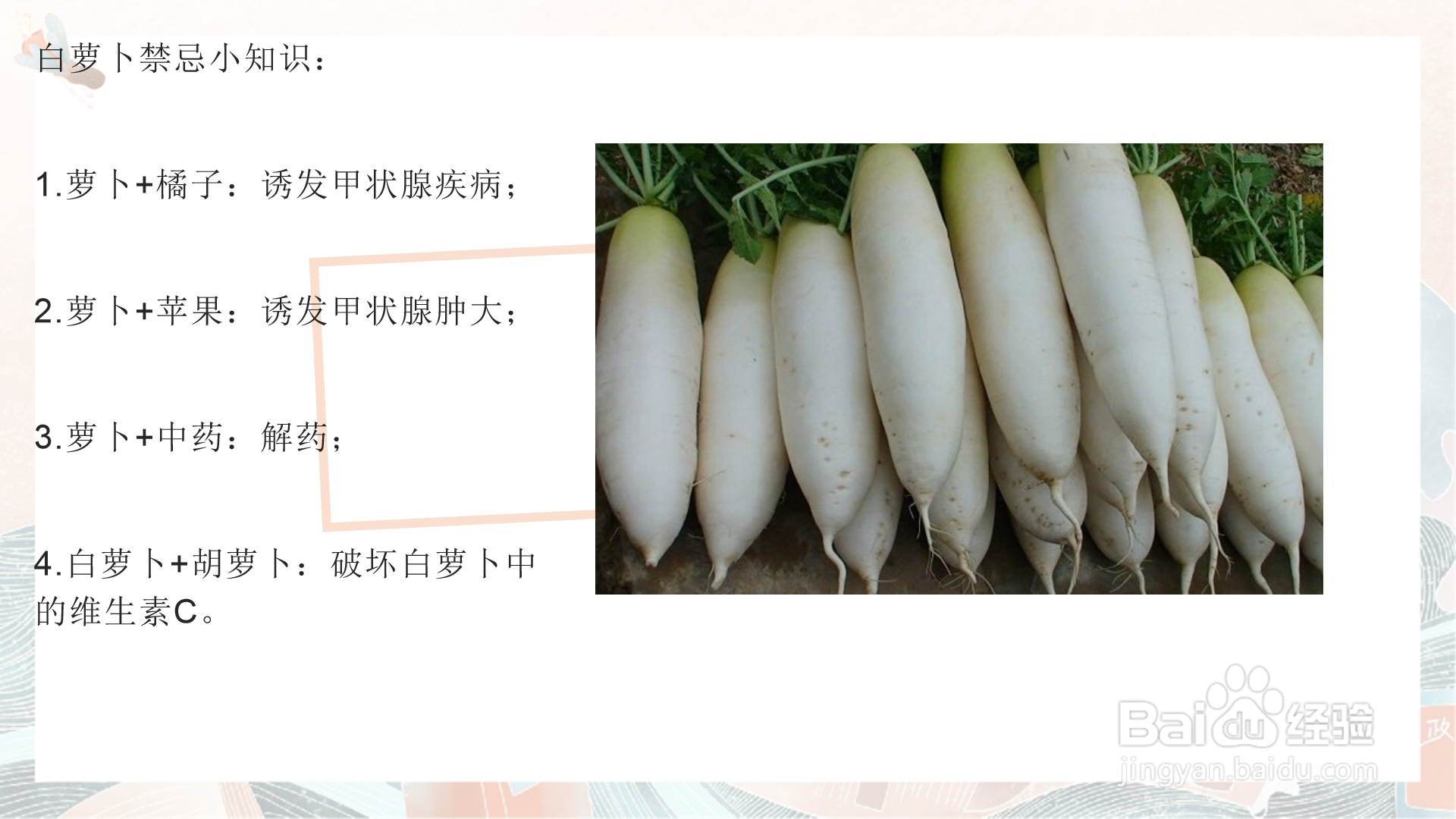 白萝卜的营养价值和功效
