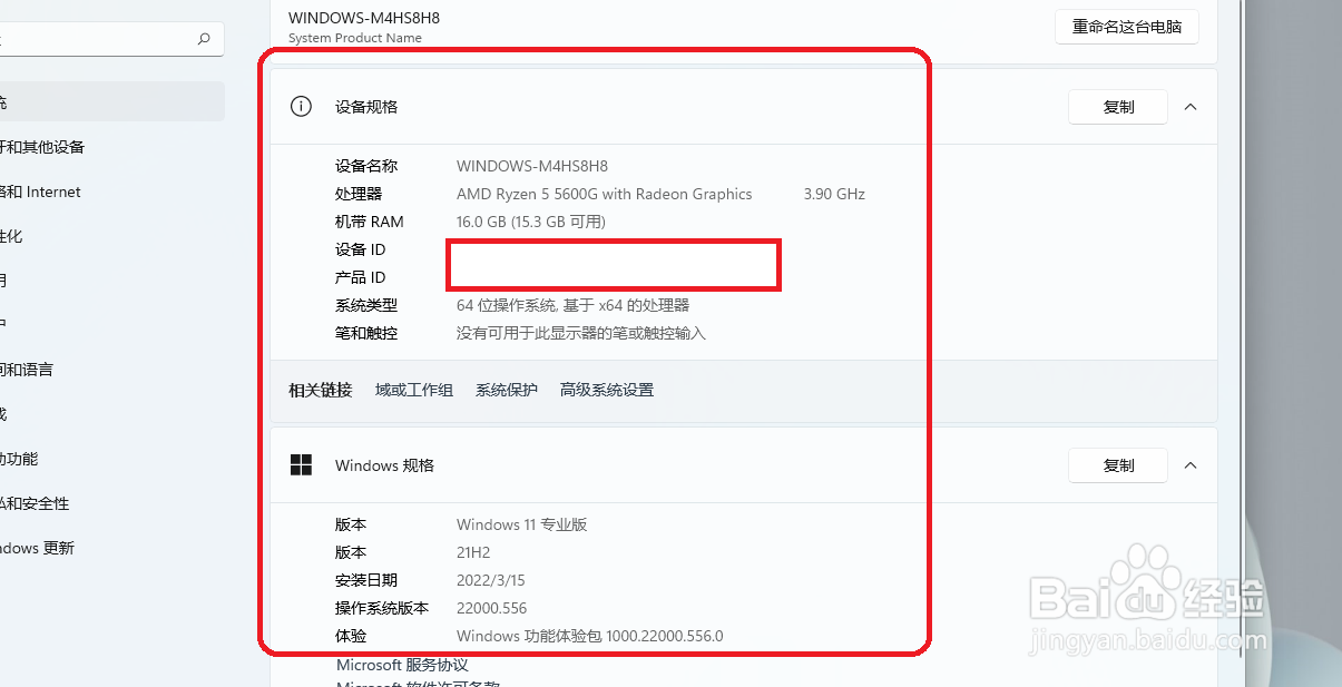 windows 11 系统怎样查看自己的设备信息
