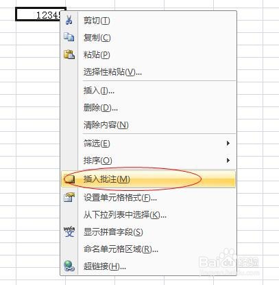 如何在EXCEL中批注表格