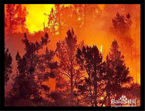 森林救火方法