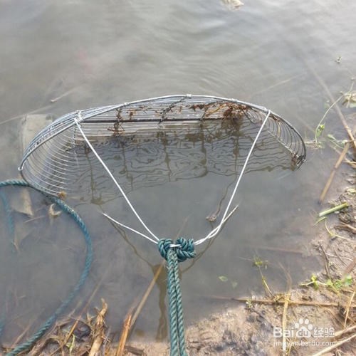 海边挖蚶子有什么技巧