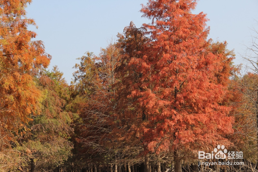 皖南川藏线、国道S218线路4天自驾游