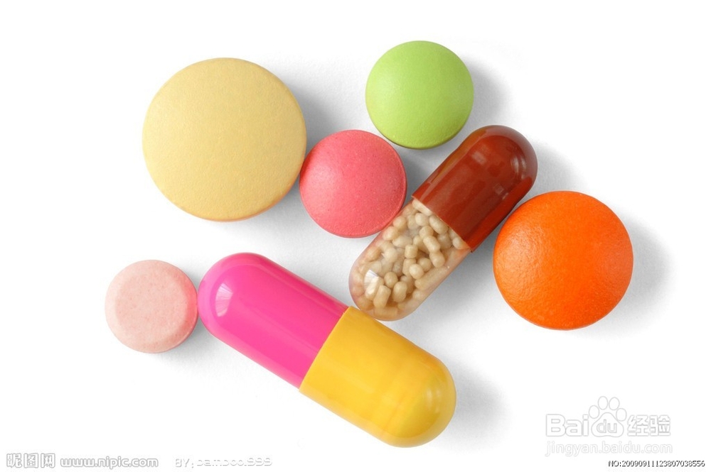 养活兔兔的条例之