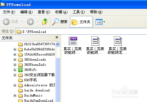 怎样用pptv下载电影文件