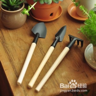 种花，土壤有哪些考究？