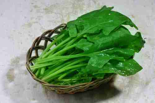 可以醒脑提神的食品有哪些