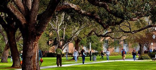 去美国留学美国大学分类