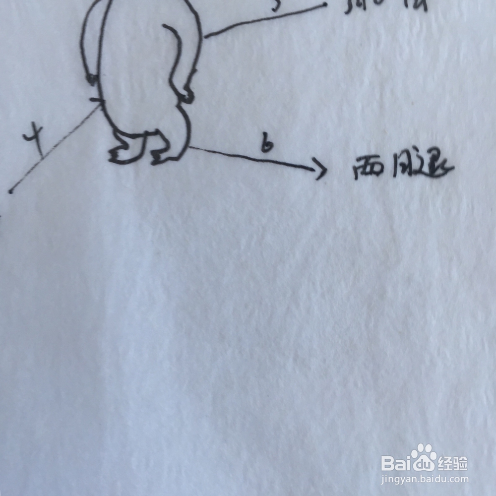 如何画简笔画小熊