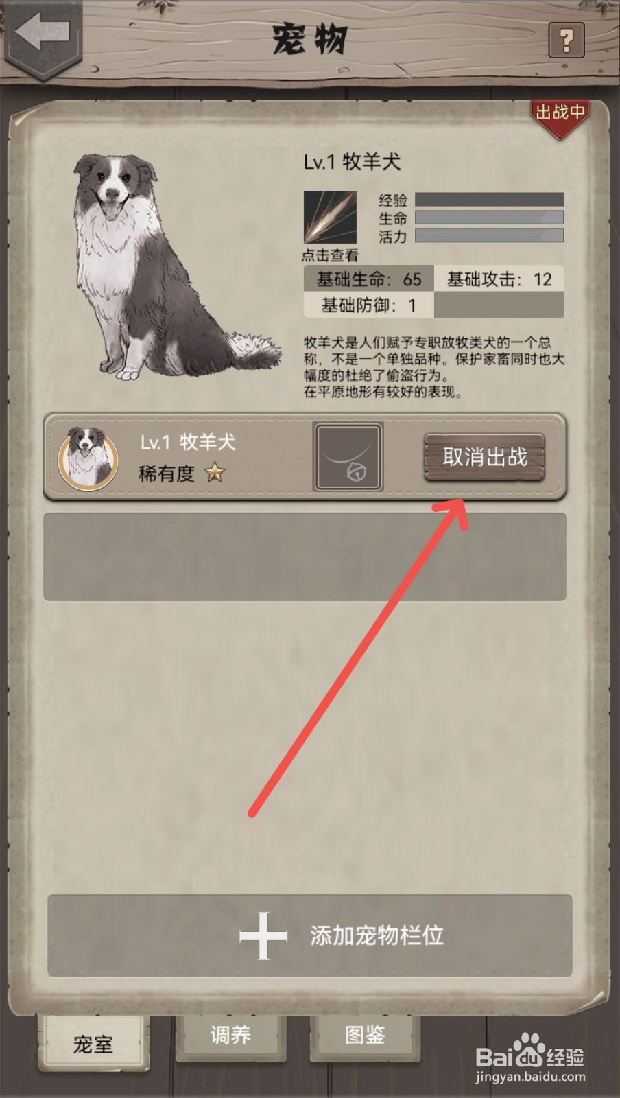 荒野日记怎么取消宠物出战
