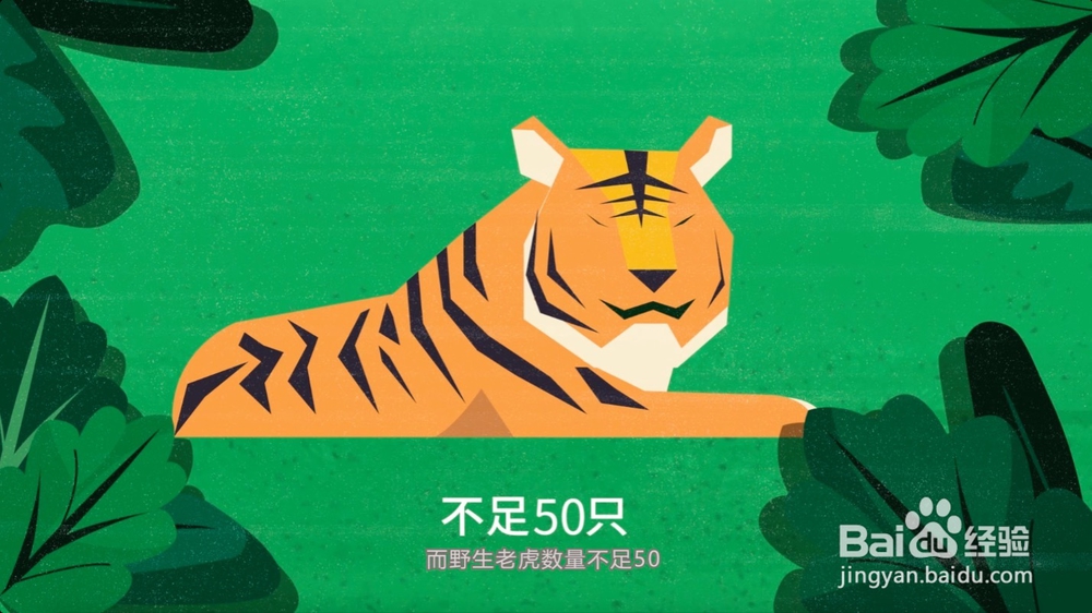 怎样正确保护野生动物