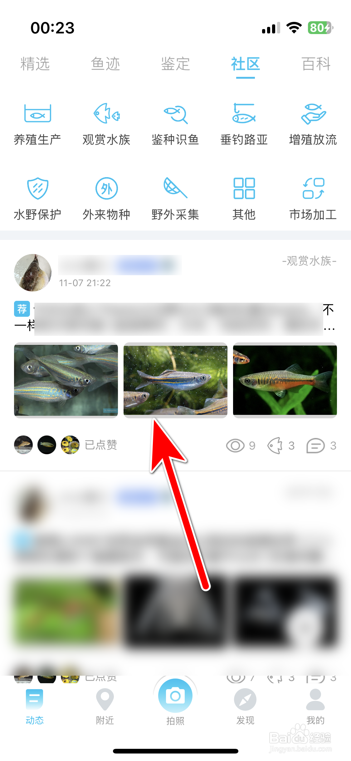 看鱼如何分享动态到微信朋友圈
