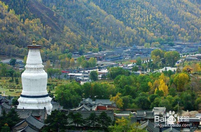 中国佛教和道教有七大名山,你知道的有几个