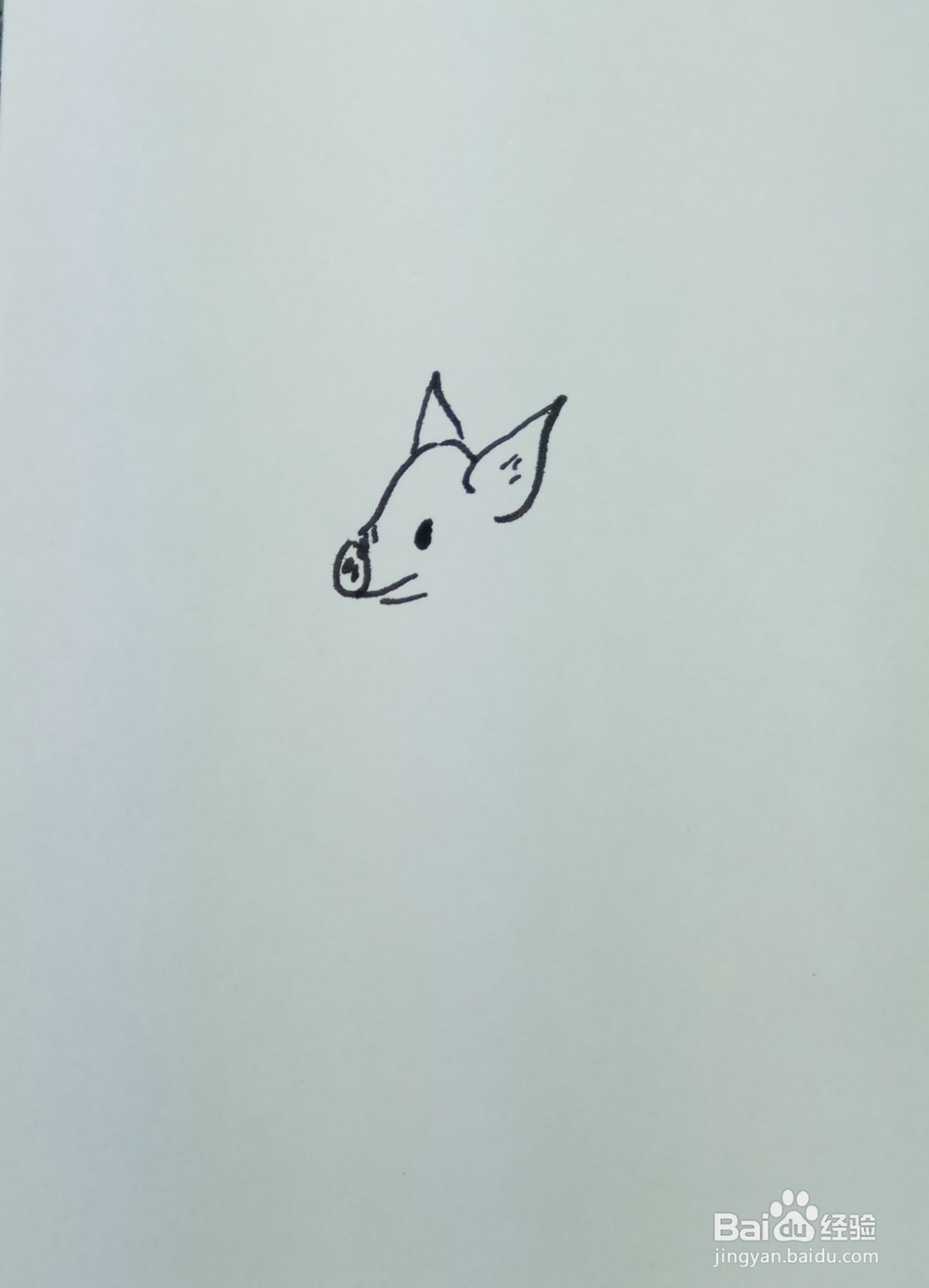 怎样画简笔画“爱嬉戏玩耍的小猪”