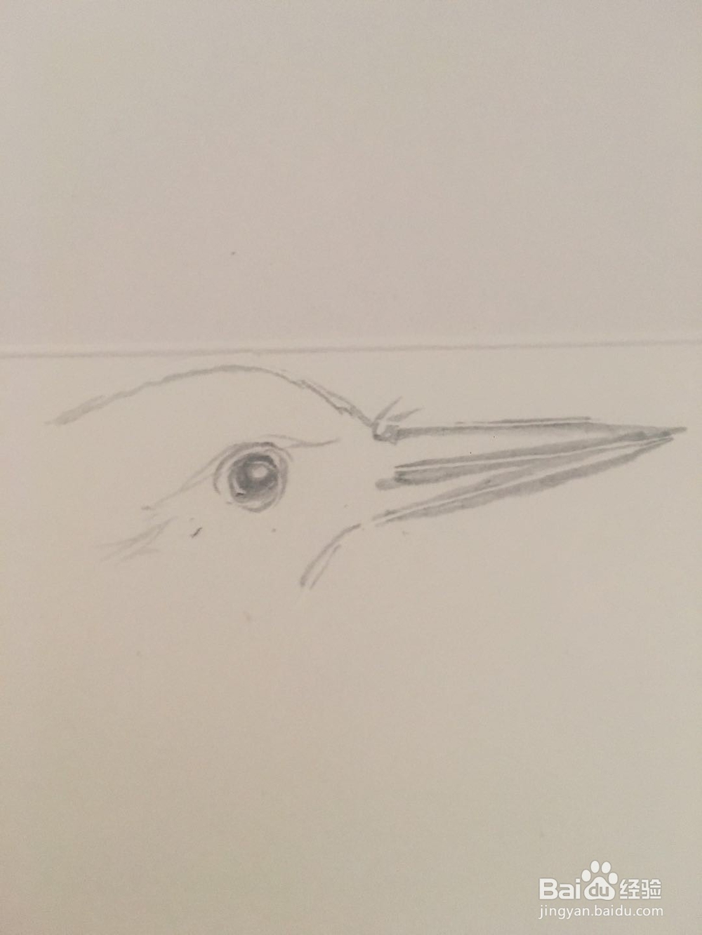 怎样画一只翠鸟的彩铅画呢