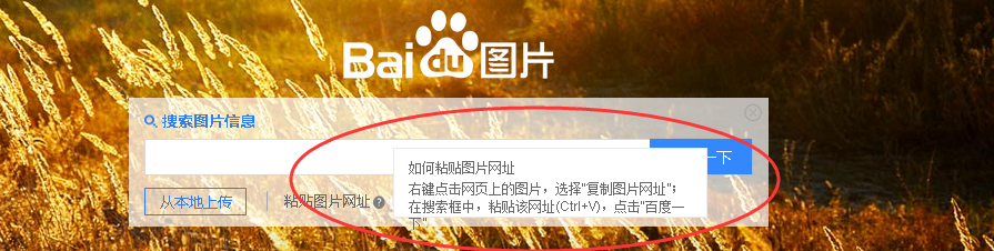如何搜索图片,怎么找到相同的照片