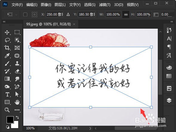 ps图片白色背景怎么去掉?