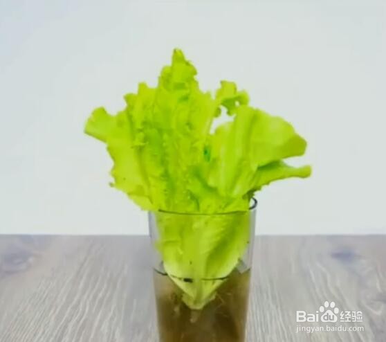 回收的小技巧