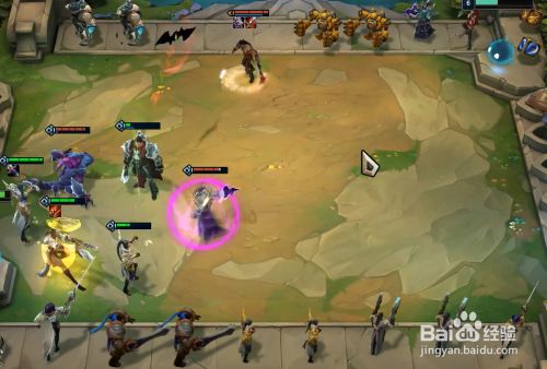 云顶之弈贵族赌狗流怎么玩 贵族赌狗流阵容搭配