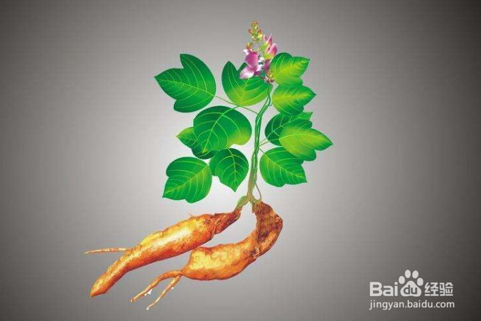 葛根阿胶魔芋粉的做法是什么？