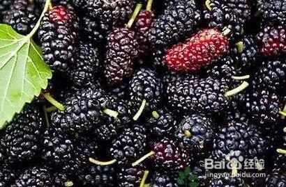 吃桑葚的好处和注意事项