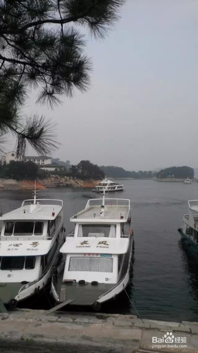 上海周边游攻略(千岛湖&森林氧吧)