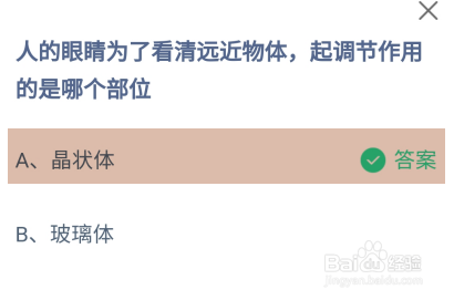 蚂蚁小课堂11.27眼睛起调节作用的是哪个部位？