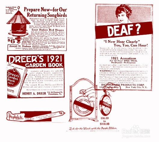 如何提高英语的阅读能力