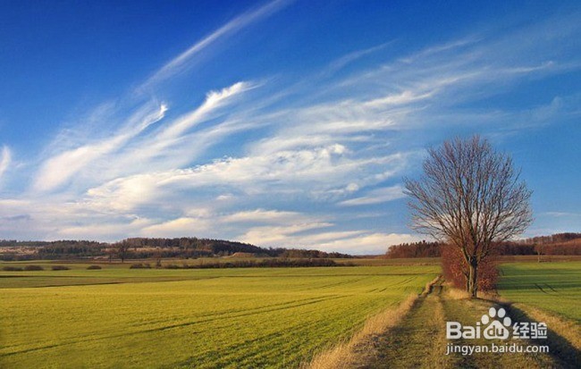 如何追求自己喜欢的女生?最实用的技巧