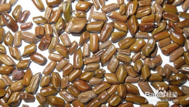 选茶时应该注意的细节