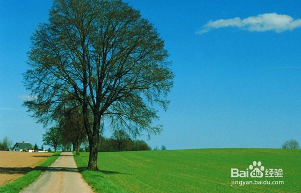 电热水壶不抽水怎么办