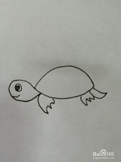 简单的小乌龟怎么画