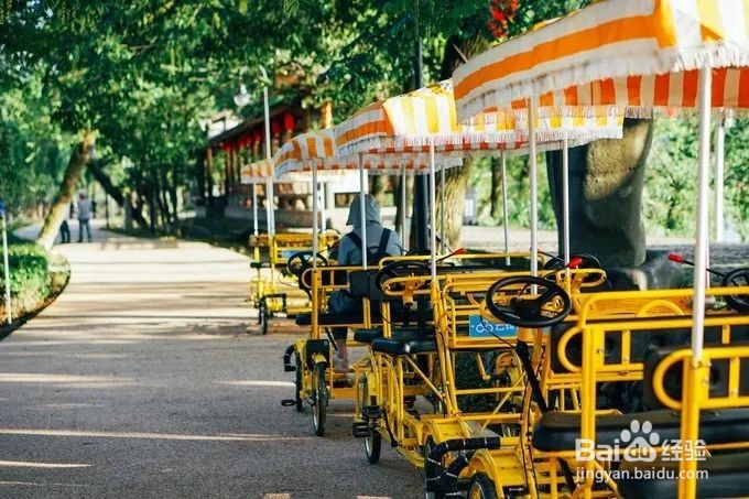 永嘉哪里有好玩的风景点