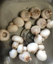 口菇瘦肉鸡蛋汤的做法步骤