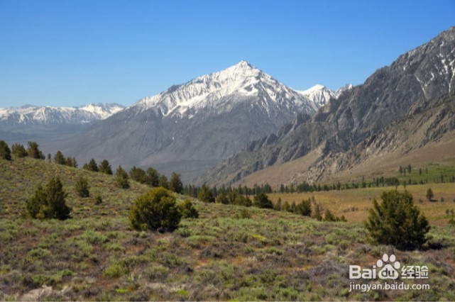 过年适合哪些人旅游